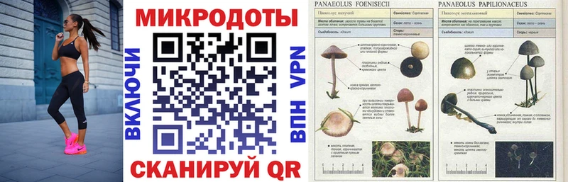 Псилоцибиновые грибы Psilocybine cubensis  купить наркотики сайты  Горячий Ключ 