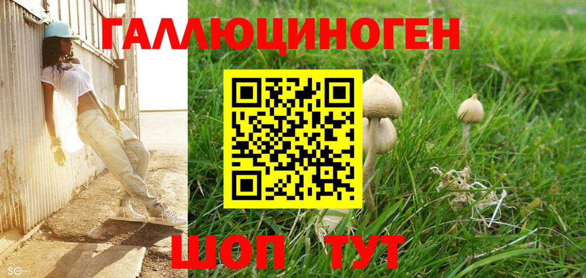 Псилоцибиновые грибы MAGIC MUSHROOMS Горячий Ключ
