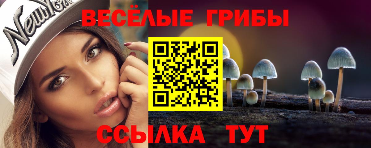 Горячий Ключ  Галлюциногенные грибы Magic Shrooms  Вход с VPN  Галлюциногенные грибы GOLDEN TEACHER 